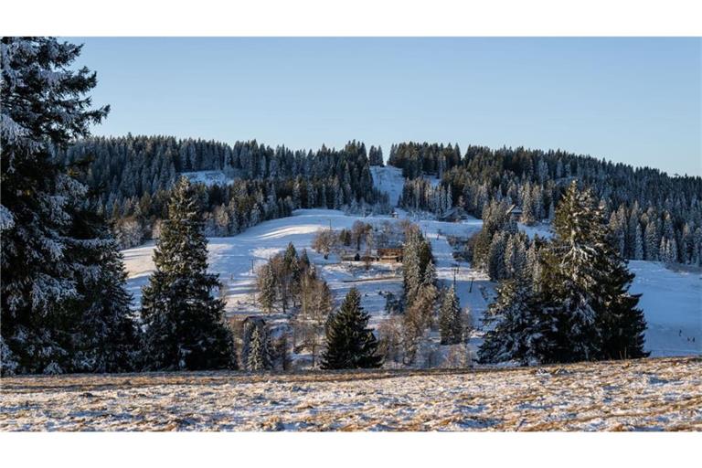 Am Feldberg im Schwarzwald könnte in der Nacht auf Donnerstag Schnee fallen. (Archivbild)