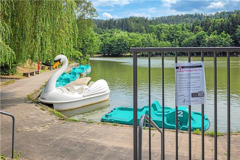 Am Fornsbacher Waldsee sind Blaualgen ein Thema. Das Gesundheitsamt informiert, was Badegäste beachten sollen. Foto: Stefan Bossow