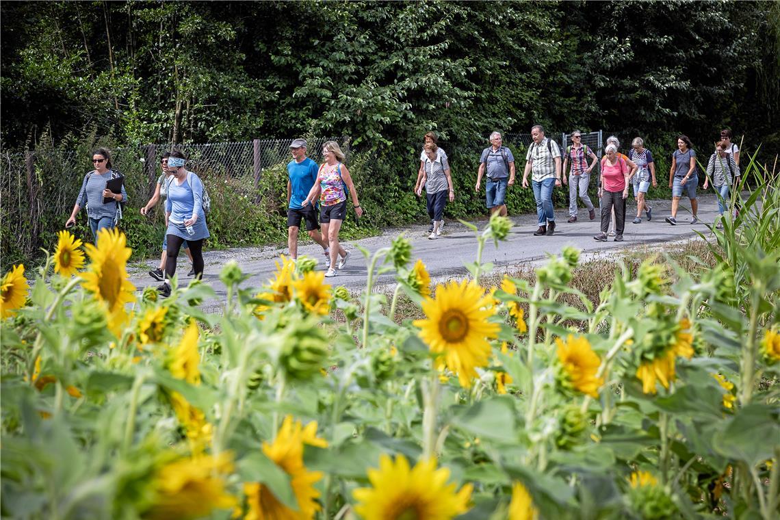 Am Freitag wandert die BKZ in Sulzbach an der Murr, Naturparkführerin Andrea Schad lädt am Samstag zu einer Wanderung nach Althütte ein. Archivfoto: Alexander Becher