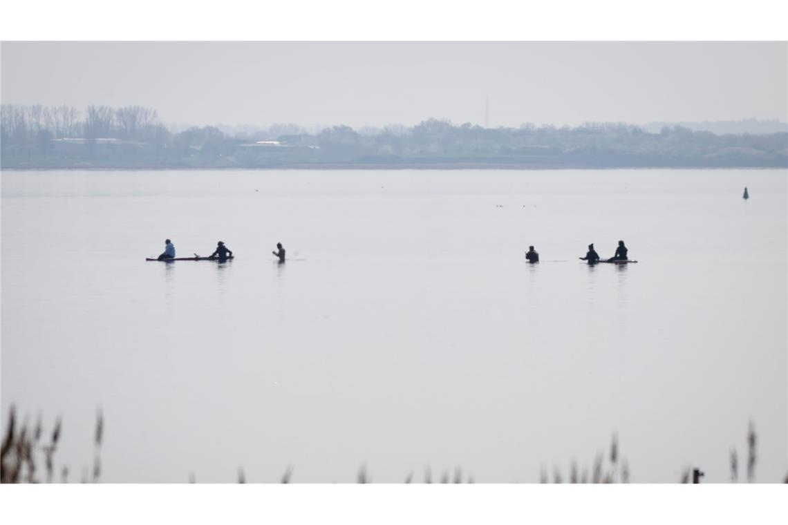 Am Freitag wird die Rettungsaktion für den gestrandeten Buckelwal fortgesetzt.