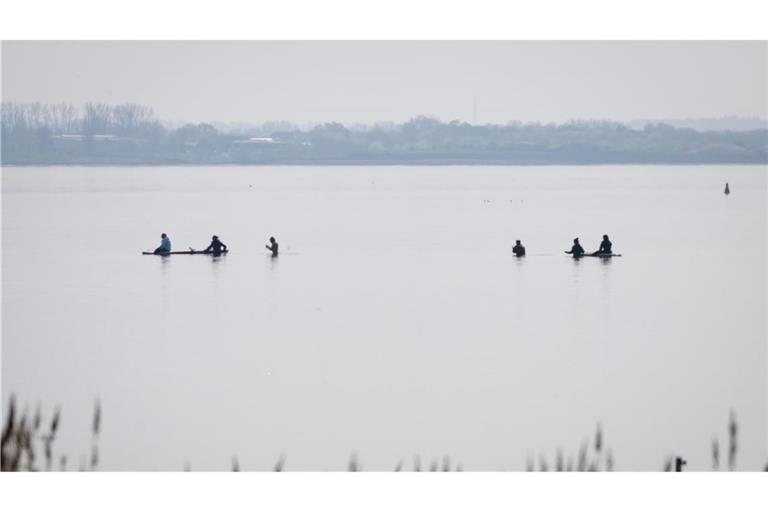 Am Freitag wird die Rettungsaktion für den gestrandeten Buckelwal fortgesetzt.