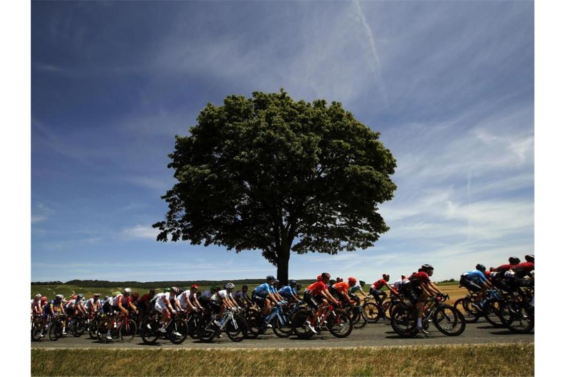 Am fünften Tag der Tour de France wird Spitzenreiter Julian Alaphilippe wieder zu den Favoriten gehören. Foto: Christophe Ena/AP