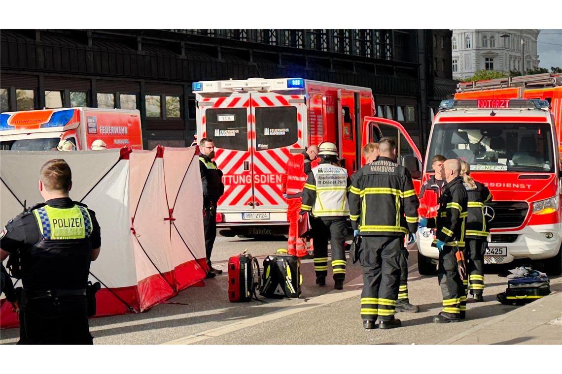 Richter ordnet Einweisung in psychiatrische Klinik an Am Hamburger Hauptbahnhof waren zahlreiche Einsatzkräfte vor Tatort.