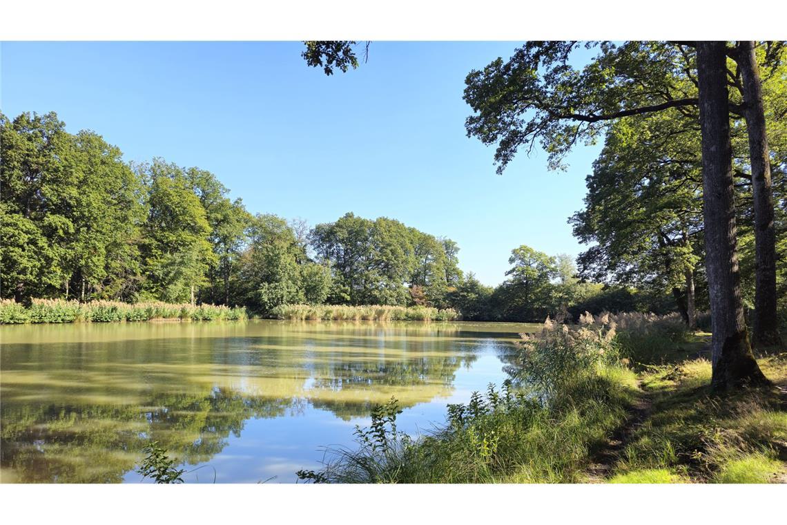 Rundwanderung am Südrand des Naturparks Stromberg-Heuchelberg Am idyllischen Hamberger See lässt sich‘s gut rasten.