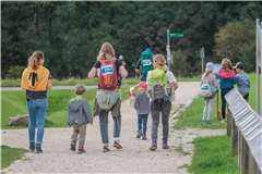 Am kommenden Sonntag werden Wanderungen und Veranstaltungen rund um den Schwäbischen Wald organisiert. Archivfoto: Stefan Bossow