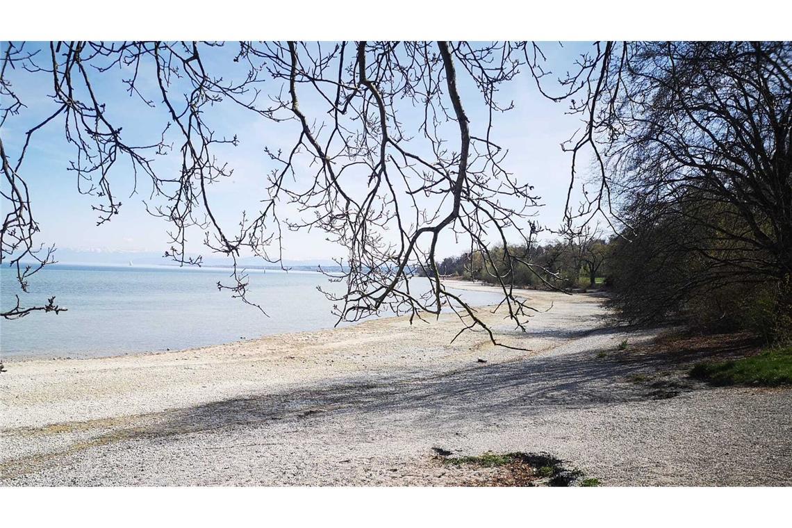 Der Bodensee lädt zum Wattwandern Am Konstanzer Hörle-Park ist ein breiter Kiesstrand entstanden.