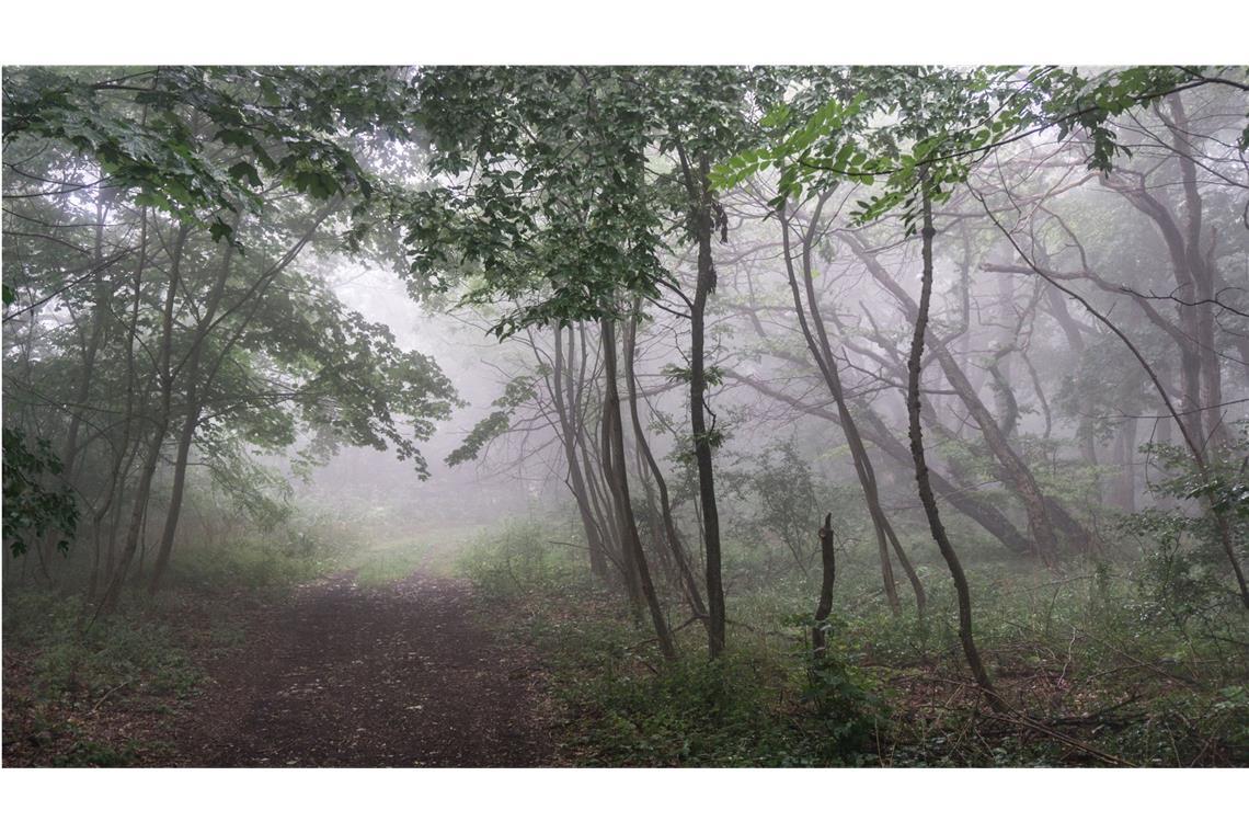 Am Kornberg oberhalb von Bad Boll hat man die Hälfte des Weges fast geschafft.