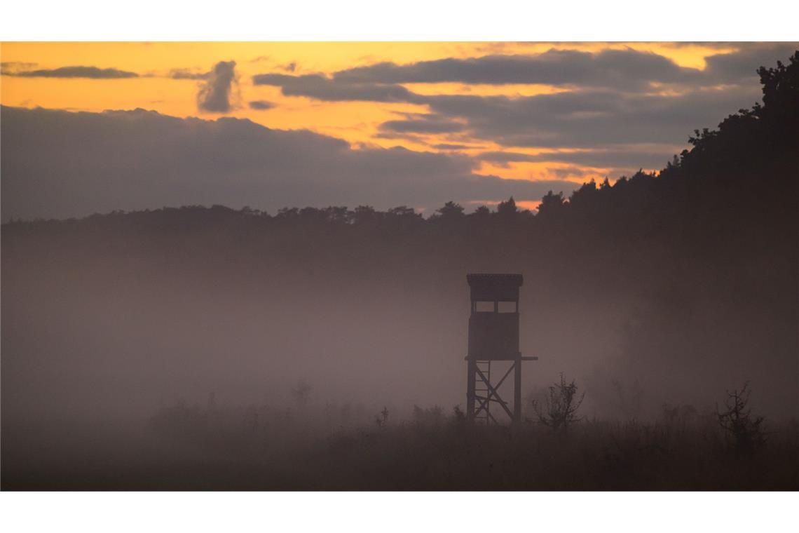 Am Morgen ist es derzeit häufiger neblig.