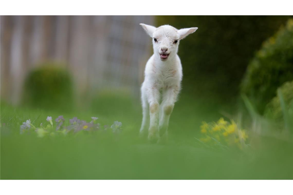 Am Osterwochenende zeigt sich das Wetter im Südwesten von seiner launischen Seite.