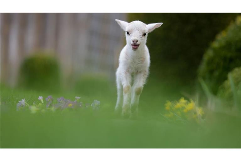 Am Osterwochenende zeigt sich das Wetter im Südwesten von seiner launischen Seite.