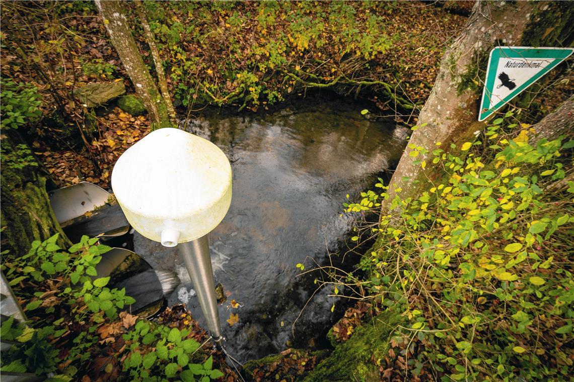 Am Rohrbach in Oppenweiler misst eine Drucksonde den Wasserpegel. Foto: Alexander Becher