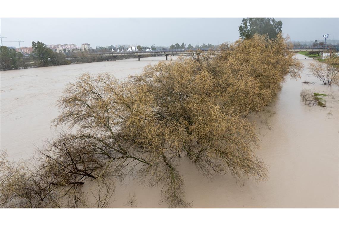 Am Samstag hatte das Sturmtief "Marta" zahlreiche Flüsse wie hier den Guadalquivir in Andalusien über die Ufer treten lassen. Es war bereits der siebte Atlantiksturm seit Jahresbeginn, der über Portugal, Spanien und Marokko hinwegzog.