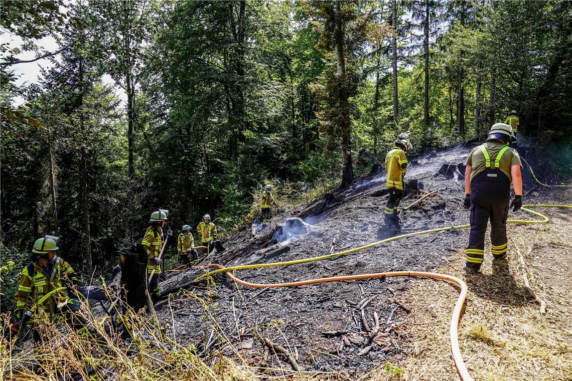 Waldbrand beim Linderstparkplatz in Murrhardt