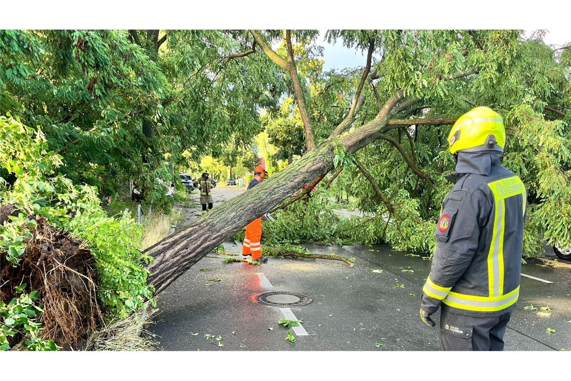 Unwetter ziehen über Teile Deutschlands