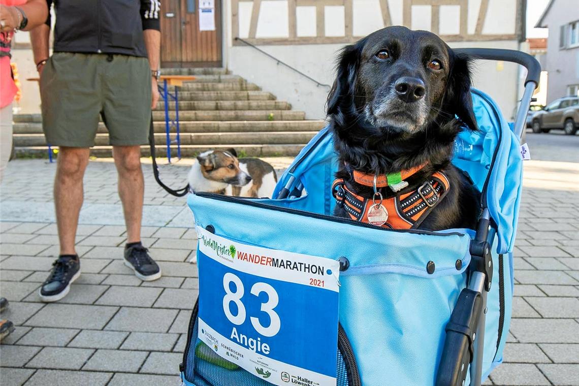 Am Start des Wandermarathons in Sulzbach an der Murr. Foto: A. Becher