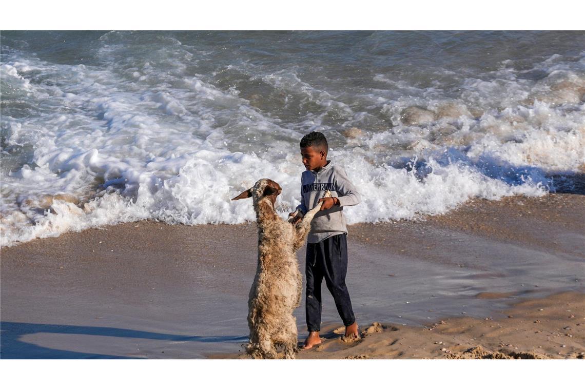 Am Strand von Deir al Balah im Gazastreifen: Was aussieht wie ein kleines Tänzchen, ist eigentlich ein Versuch, die Ziege im Mittelmeer zu waschen.