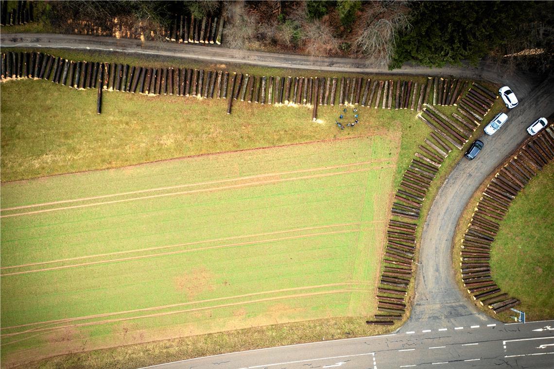 Am Submissionsplatz bei Kaisersbach liegen ungefähr 390 Stämme mit insgesamt 702 Festmetern. Sie werden hier von potenziellen Käufern genau geprüft, die speziell auf der Suche nach Wertholz sind. Dafür müssen die Stämme so einige Kriterien erfüllen. Auch in Sulzbach und Murrhardt finden gerade solche Begutachtungen statt. Fotos: Alexander Becher