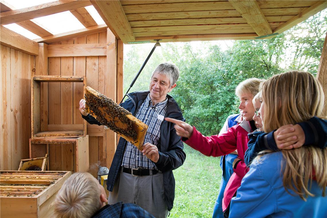Landesweiter Tag der Artenvielfalt Am Tag der Artenvielfalt kann man in Murrhardt wieder Bienenzüchtern wie Walter Bay bei ihrer Arbeit über die Schulter schauen. Archivfoto: Jörg Fiedler