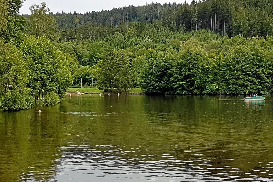 Umbau des Waldsees erfolgt in den kommenden Wochen Am Waldsee in Fornsbach sollen bald neue Regeln gelten. Foto: privat