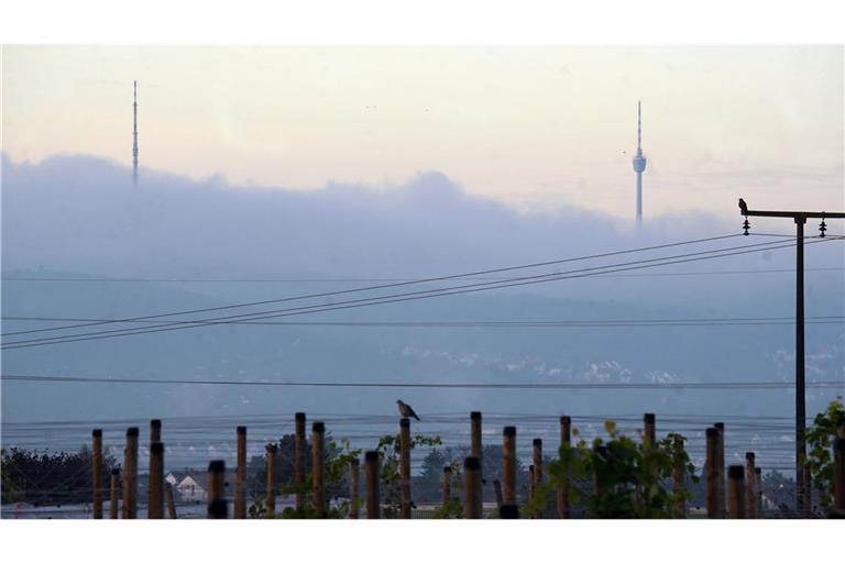 Am Wochenende bleibt es grau und neblig in Stuttgart und der Region.