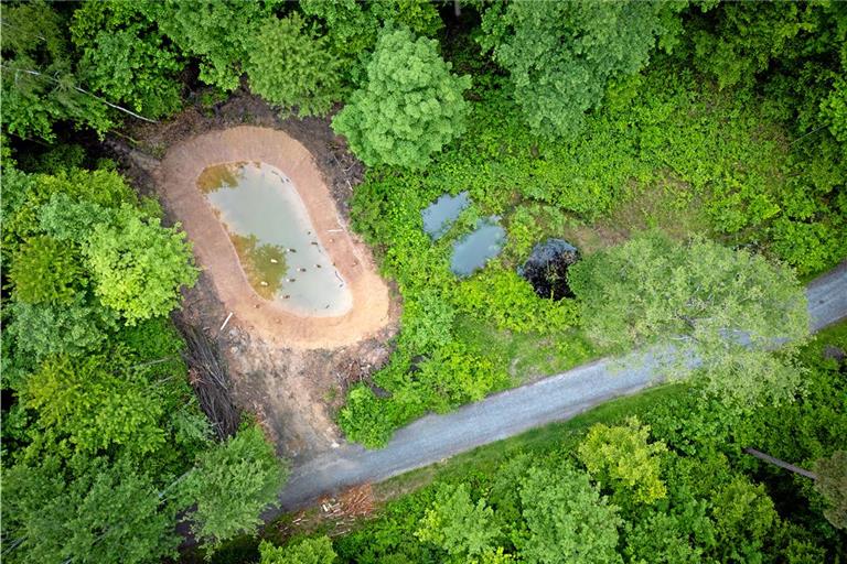 Amphibiengewässer dienen ebenfalls dem Wasserrückhalt – wie die neuen Laichgewässer im Plattenwald. Archivfoto: Alexander Becher