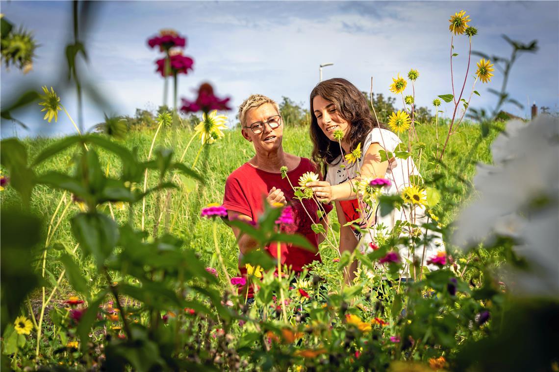 Blumenbrücken für Insekten: „Jeder Blumentopf zählt“ An der Aussegnungshalle in Sechselberg kam die blühende Vielfalt für Angelika Roth und Melanie Rautscher unerwartet. Foto: Alexander Becher