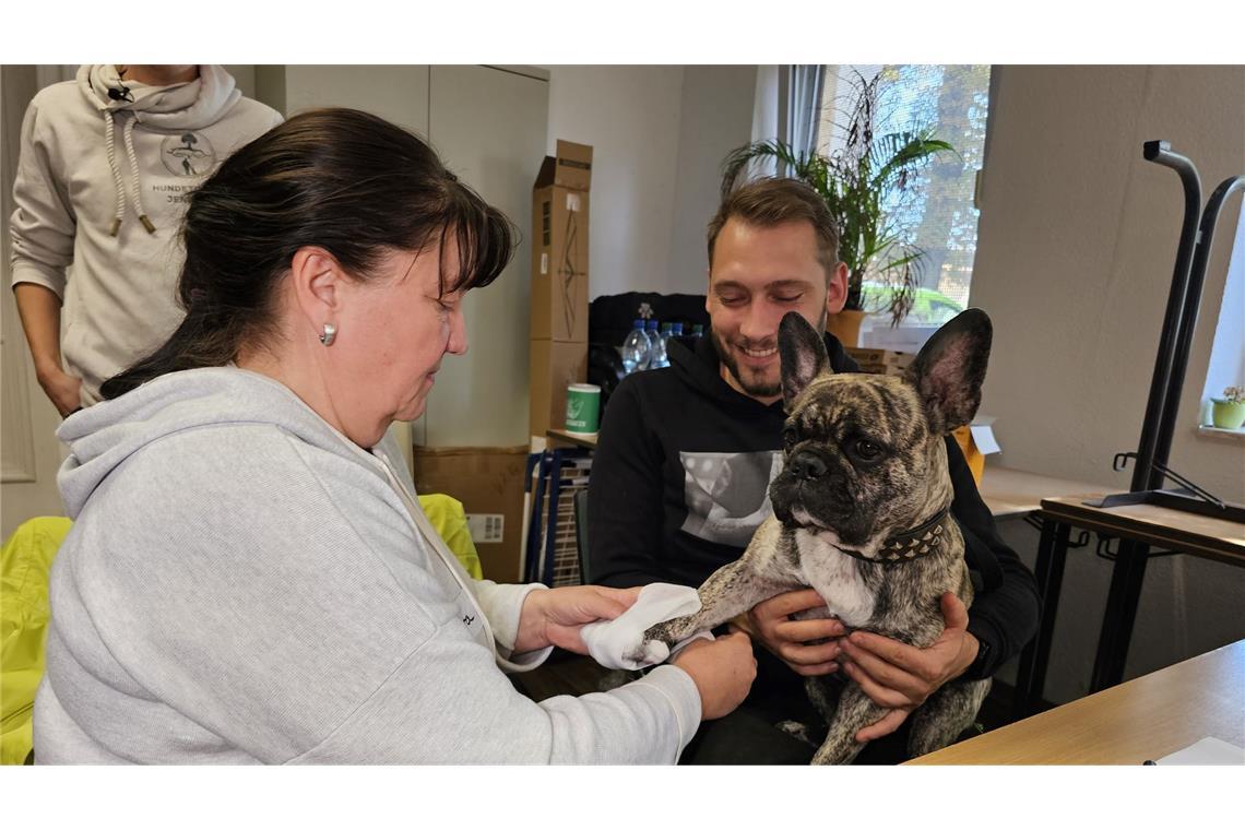 Herz-Druck-Massage beim Hund will gelernt sein An der französischen Bulldogge "Buddy" übt eine Kursteilnehmerin das Verbinden einer Pfote.