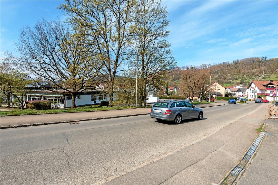 An der Hörschbachschule setzt sich die Schulleitung für einen Zebrastreifen oder Fußgängerüberweg mit Querungshilfe an der Siebenkniestraße ein. Foto: Stefan Bossow