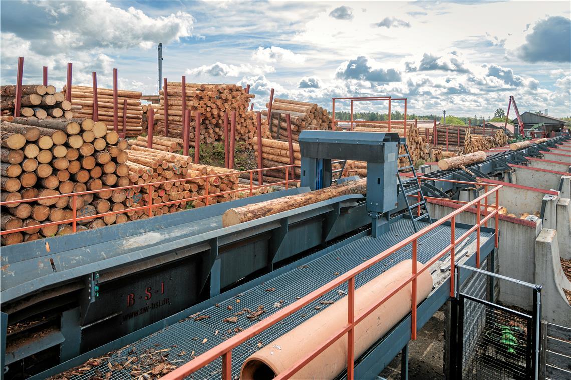 An der Kurzholzsortieranlage wird das Rundholz entrindet und anschließend auf verschiedene Stapel sortiert. Fotos: Stefan Bossow
