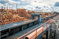 An der Kurzholzsortieranlage wird das Rundholz entrindet und anschließend auf verschiedene Stapel sortiert. Fotos: Stefan Bossow