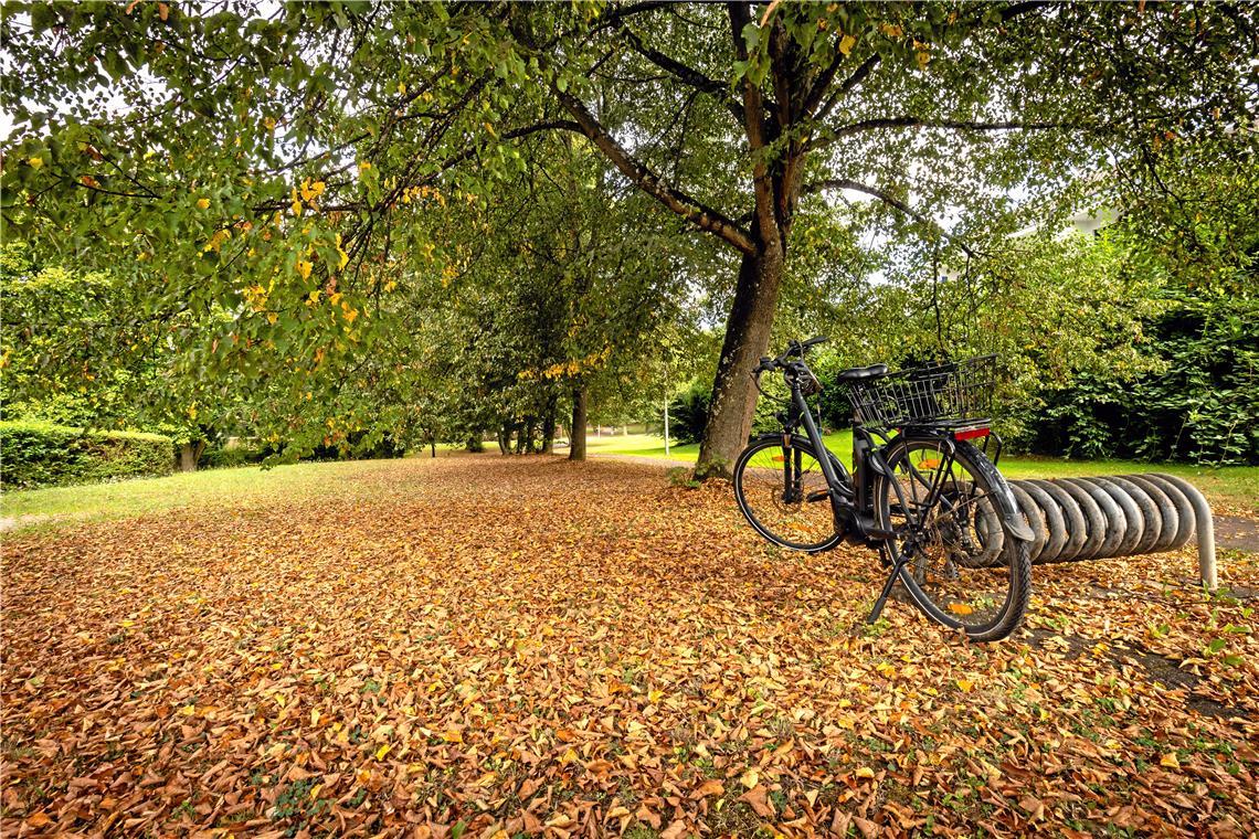Der Sommer verabschiedet sich An der Markuskirche in Backnang werfen die Bäume ihr Laub ab, damit ist der Herbst nun endgültig eingezogen. Foto: Alexander Becher