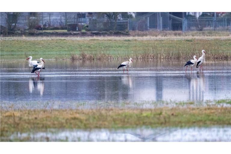An eigenen Pegeln in Bayern ist die Meldestufe 3 überschritten.