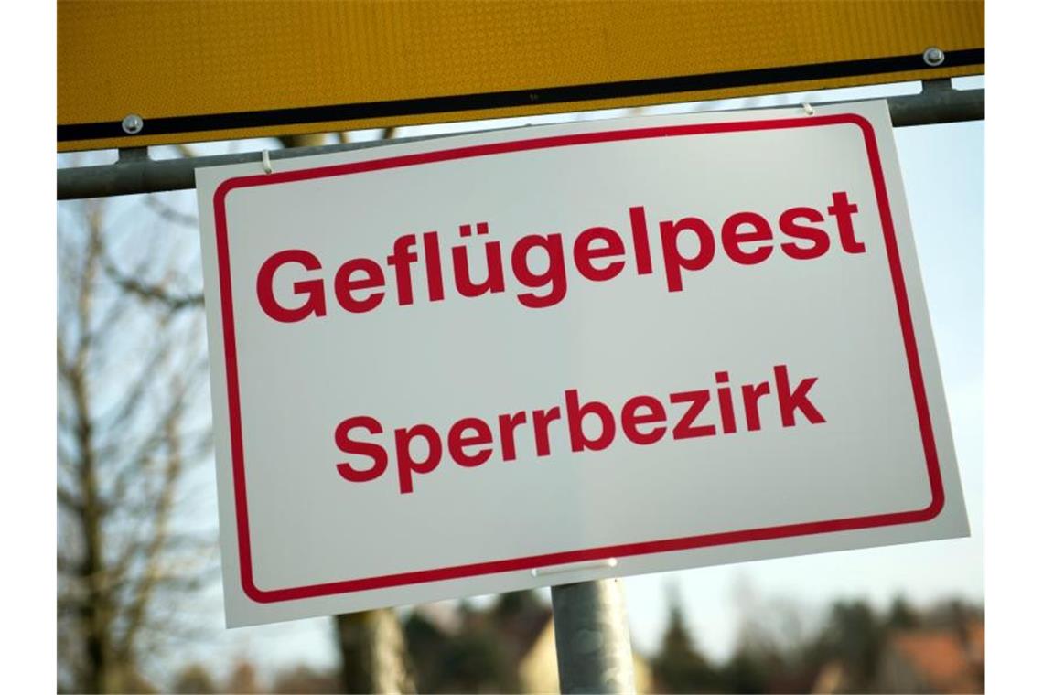 An einem Ortseingangsschild hängt ein Schild mit der Aufschrift „Geflügelpest Sperrbezirk“. Foto: Arno Burgi/dpa-Zentralbild/dpa/Symbolbild
