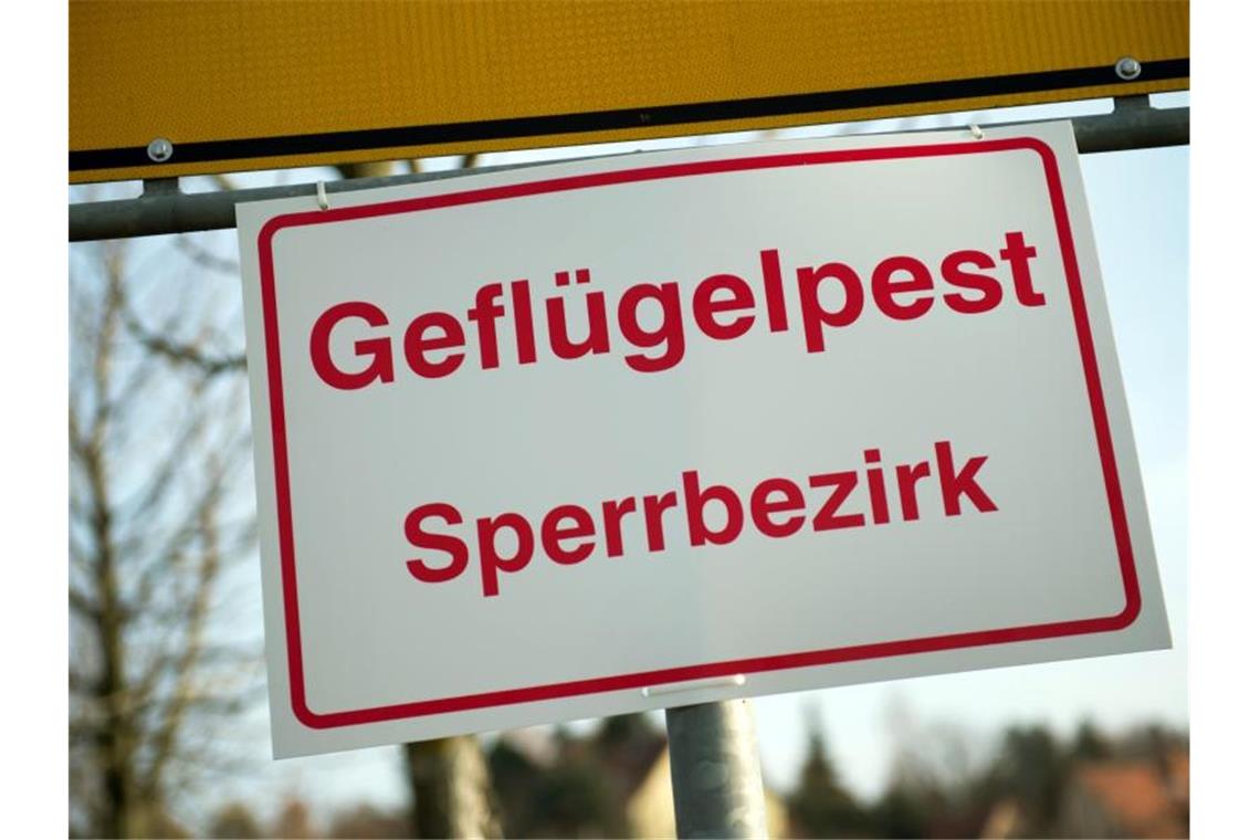 Minister Hauk warnt vor Ausbreitung der Geflügelpest An einem Ortseingangsschild hängt ein Schild mit der Aufschrift „Geflügelpest Sperrbezirk“. Foto: Arno Burgi/dpa-Zentralbild/dpa/Symbolbild