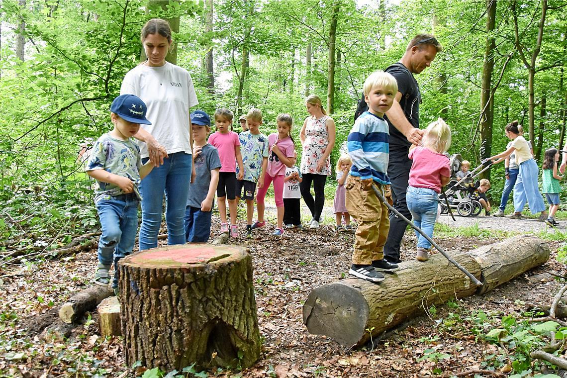 Neuer Walderlebnispfad in Kirchberg an der Murr An Station vier kommt es beim Balancieren auf das Gleichgewicht an. Foto: Tobias Sellmaier