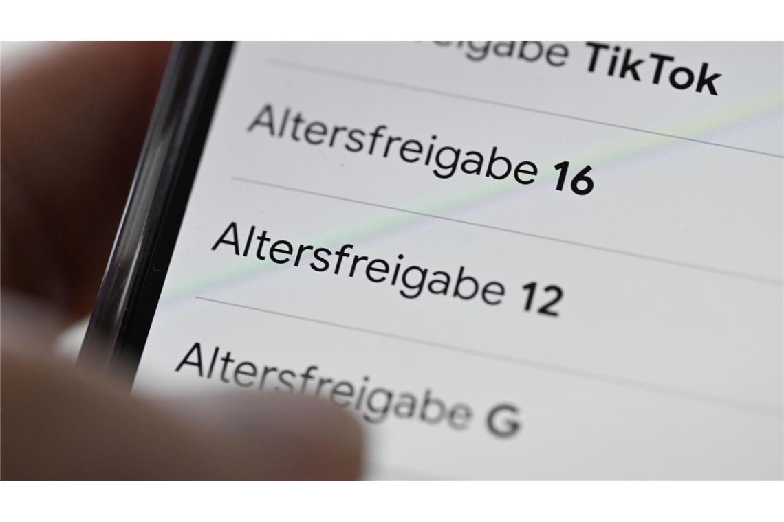 Andere Staaten haben ein Social-Media-Mindestalter bereits beschlossen oder bereiten es vor. (Symbolbild)