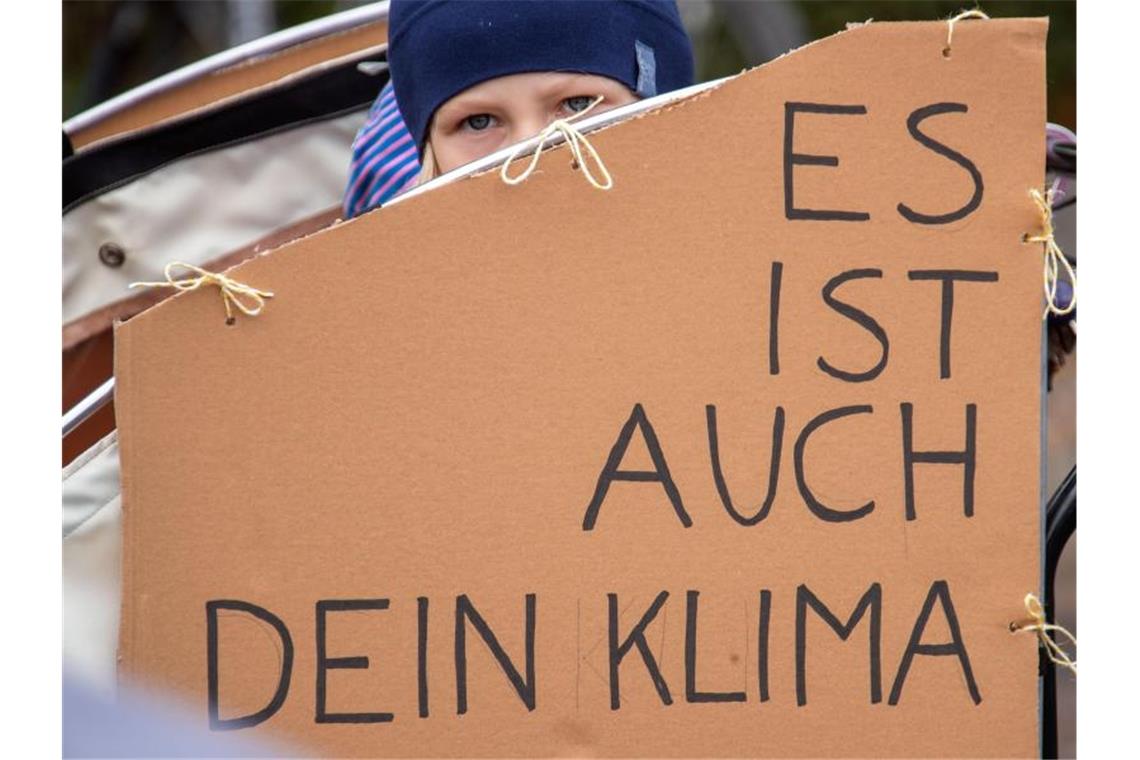 Anders als auf der großen Demo in Berlin vergangene Woche gibt es unter den Parteien im Bundestag kaum einen Konsens zum Klimaschutz. Foto: Jens Büttner