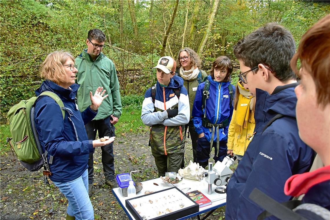 Auf Schneckenexkursion im Maubachtal Anette Rosenbauer präsentierte im Beisein von Ralf Nentwich verschiedene Arten.