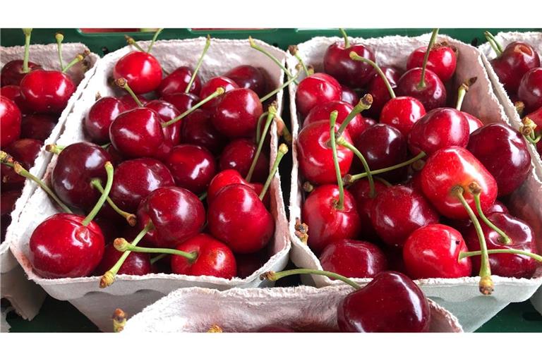 Angebaut werden in Deutschland vor allem Süßkirschen. (Archivbild)