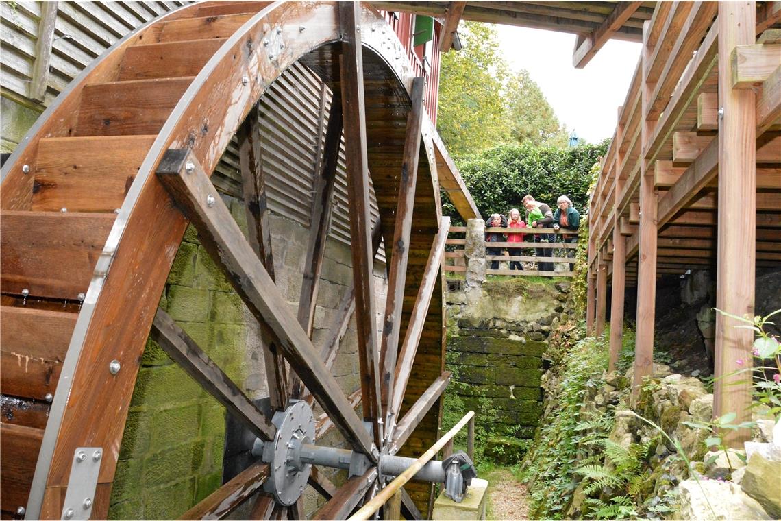 Kann die Wasserkraftnutzung helfen? Angetrieben wurde die Kirchenkirnberger Mühle früher von mehreren kleineren Bächen, dem Glattenzainbach, dem Geistlochbach und dem Kirnbach. Allerdings hat das Wasser nicht immer ausgereicht, weshalb auch ein ganzes Arsenal an Stauseen angelegt wurde – fünf an der Zahl. Neben dem Herrensee bei Eichenkirnberg wurde auch ein Teil des späteren Hofbereichs als Wasserspeicher genutzt. Archivfoto: E. Klaper