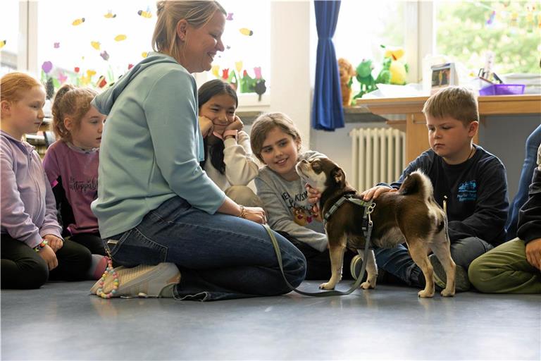 Anina Schieslings Schulhund Hildegard genießt die Streicheleinheiten der Schüler der Klasse 2b. Fotos: Alexander Becher
