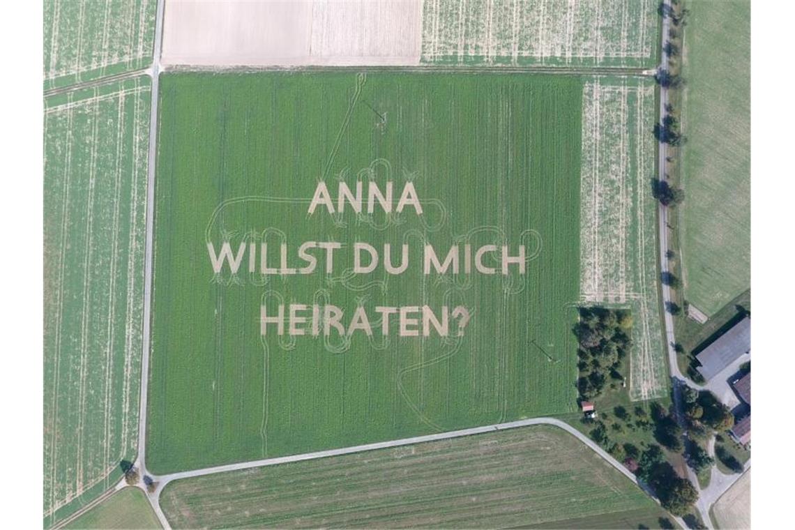 „Anna willst du mich heiraten“ hat ein Landwirt aus Sulz in einen Acker gefräst. Foto: Johannes Walter/dpa