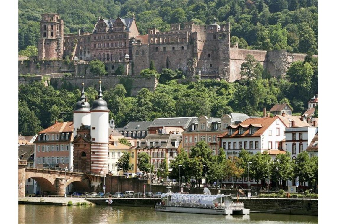 Acht Bewerber wollen Heidelberger Lärmbeauftragter werden