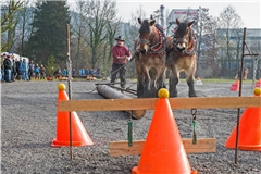 Anton Laux beim Holzrücken auf den Kocherwiesen. Archivfoto: Jörg Fiedler