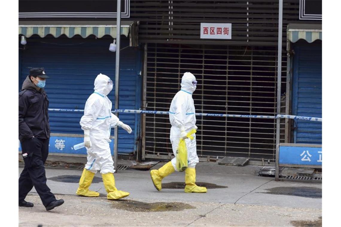 Arbeiter in Schutzkleidung tragen eine Tasche in der sich ein Riesensalamander befindet, der vom Huanan Seafood Market entkommen sein soll. Foto: -/CHINATOPIX/AP/dpa