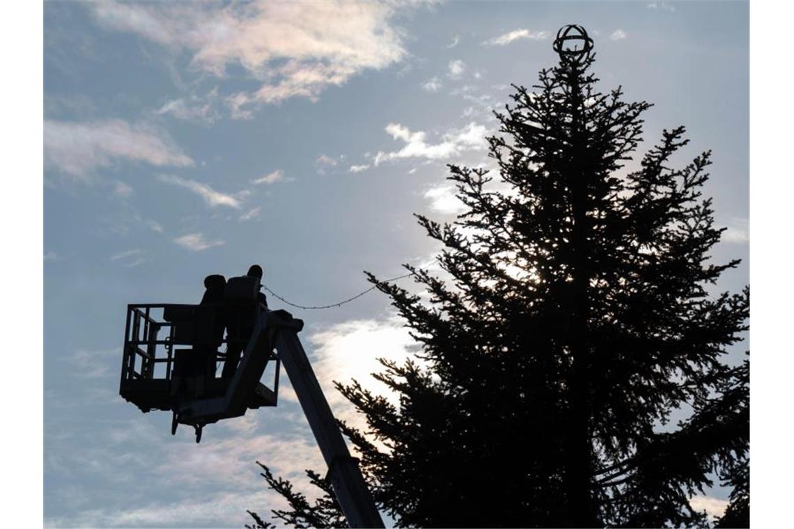 Arbeiter schmücken den Weihnachtsbaum auf dem Schlossplatz Stuttgart mit Lichterketten. Foto: Marijan Murat/dpa