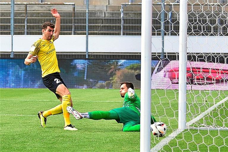 Arbnor Nuraj bringt Großaspach drei Minuten nach der Pause mit dem 1:0-Fürhurngstreffer auf die Siegerstraße. Foto: Tobias Sellmaier