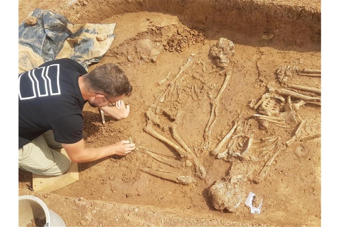 5000 Jahre alte Skelette in „Hockerstellung“ entdeckt Archäologe Frank Brodbeck legt ein Skelett einer Mehrfachbestattung frei. Foto: Sybil Harding/Landesamt für Denkmalpflege Stuttgart/dpa
