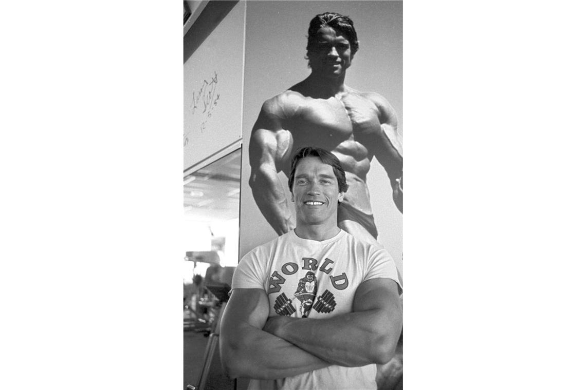 Arnold-Schwarzenegger-Käfer: Der Käfer „Agra Schwarzeneggeri“ wurde 2002 gefunden. Da hatte Arnold Schwarzenegger schon seinen Zenit als Mucki-Mann überschritten. Doch seine Muskeln sind in Erinnerung geblieben – und mit ihm der Terminator unter den Käfern.