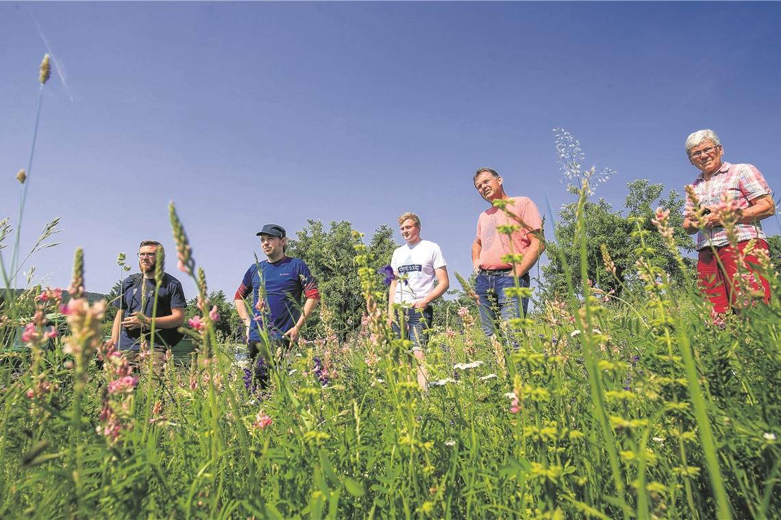 Schutzprojekte für Feldlerche und Insekten Aspacher Bauern bei einer Wiesenbegehung. Foto: A. Becher